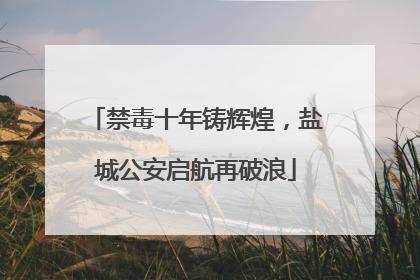 禁毒十年铸辉煌，盐城公安启航再破浪