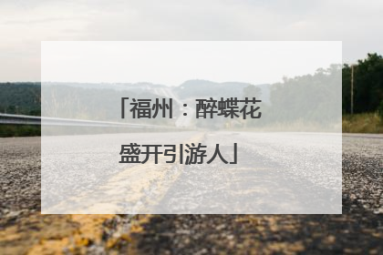 福州：醉蝶花盛开引游人