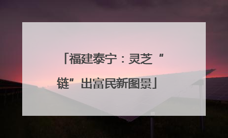 福建泰宁：灵芝“链”出富民新图景
