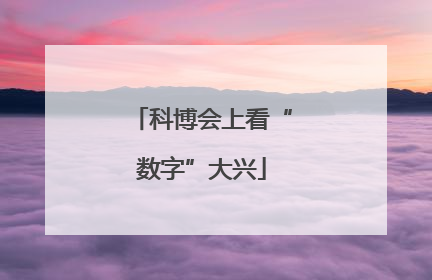 科博会上看“数字”大兴