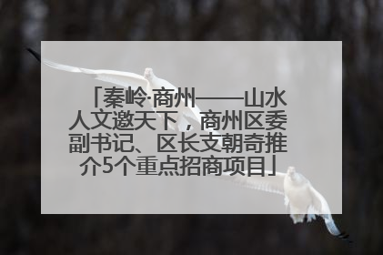 秦岭·商州——山水人文邀天下，商州区委副书记、区长支朝奇推介5个重点招商项目