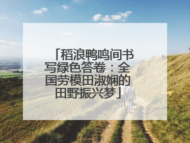 稻浪鸭鸣间书写绿色答卷：全国劳模田淑娴的田野振兴梦