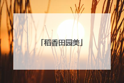 稻香田园美