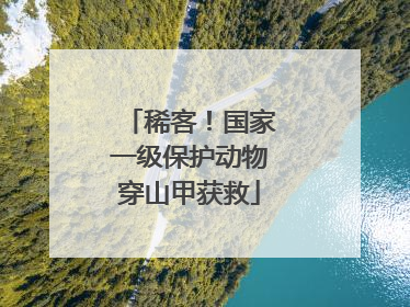 稀客！国家一级保护动物穿山甲获救