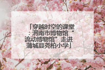 穿越时空的课堂：渭南市博物馆“流动博物馆”走进蒲城县尧柏小学