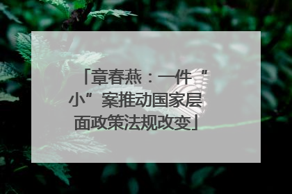 章春燕：一件“小”案推动国家层面政策法规改变