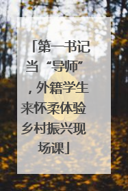 第一书记当“导师”，外籍学生来怀柔体验乡村振兴现场课