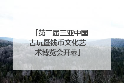 第二届三亚中国古玩暨钱币文化艺术博览会开幕