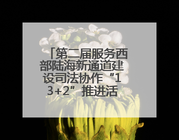 第二届服务西部陆海新通道建设司法协作“13+2”推进活动在南宁举办