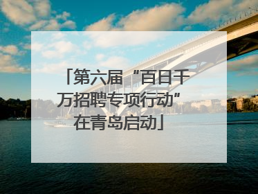 第六届“百日千万招聘专项行动”在青岛启动