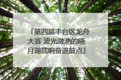 第四届丰台区龙舟大赛 波光潋滟的晓月湖擂响奋进鼓点