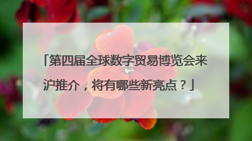 第四届全球数字贸易博览会来沪推介，将有哪些新亮点？