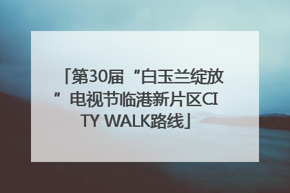 第30届“白玉兰绽放”电视节临港新片区CITY WALK路线