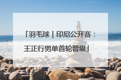 羽毛球｜印尼公开赛：王正行男单首轮晋级