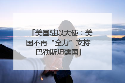 美国驻以大使：美国不再“全力”支持巴勒斯坦建国