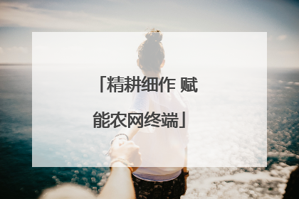 精耕细作 赋能农网终端