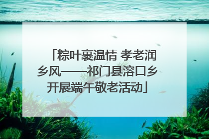 粽叶裹温情 孝老润乡风——祁门县溶口乡开展端午敬老活动