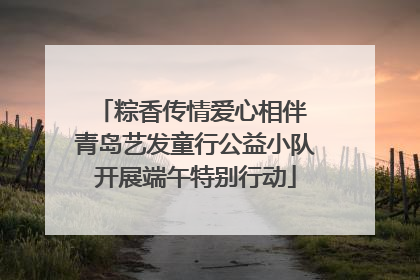 粽香传情爱心相伴 青岛艺发童行公益小队开展端午特别行动