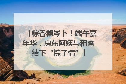 粽香飘岑卜！端午嘉年华，房东阿姨与租客结下“粽子情”