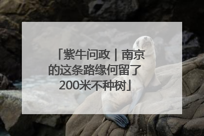 紫牛问政｜南京的这条路缘何留了200米不种树