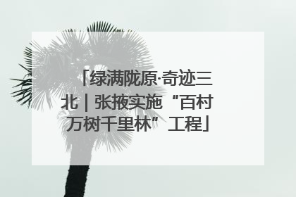 绿满陇原·奇迹三北｜张掖实施“百村万树千里林”工程