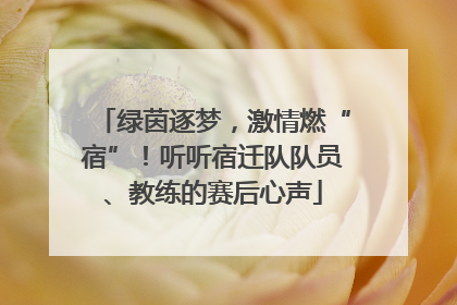绿茵逐梦，激情燃“宿”！听听宿迁队队员、教练的赛后心声