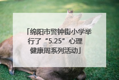 绵阳市警钟街小学举行了“5.25”心理健康周系列活动