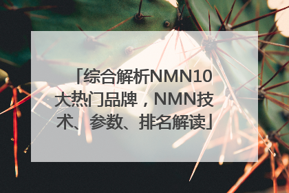 综合解析NMN10大热门品牌，NMN技术、参数、排名解读