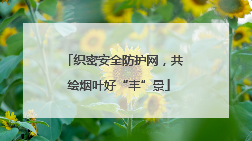 织密安全防护网，共绘烟叶好“丰”景