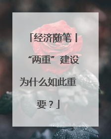 经济随笔丨“两重”建设为什么如此重要？