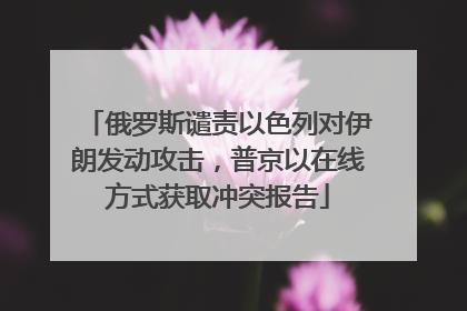 俄罗斯谴责以色列对伊朗发动攻击，普京以在线方式获取冲突报告