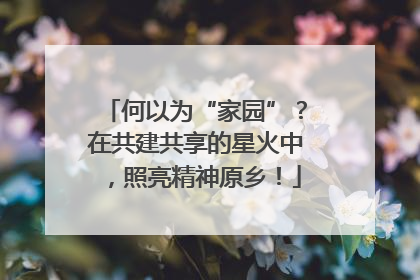 何以为“家园”？在共建共享的星火中，照亮精神原乡！