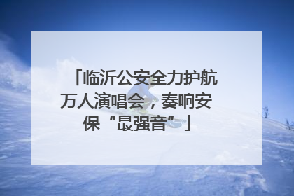 临沂公安全力护航万人演唱会，奏响安保“最强音”