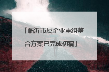 临沂市属企业重组整合方案已完成初稿