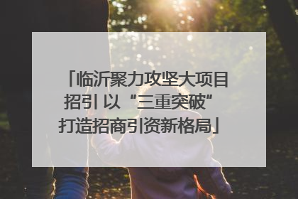 临沂聚力攻坚大项目招引 以“三重突破”打造招商引资新格局