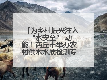 为乡村振兴注入 “水安全” 动能！商丘市举办农村供水水质检测专题培训