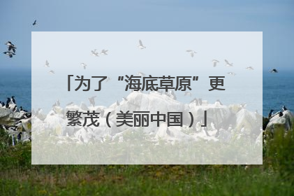 为了“海底草原”更繁茂（美丽中国）