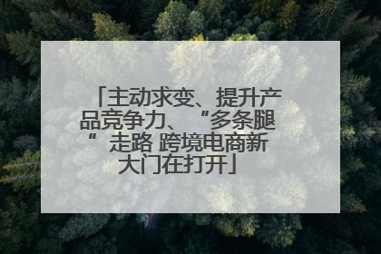 主动求变、提升产品竞争力、“多条腿”走路 跨境电商新大门在打开