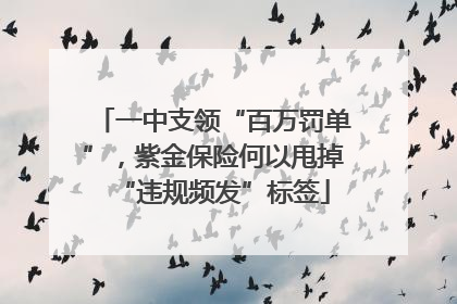 一中支领“百万罚单”，紫金保险何以甩掉“违规频发”标签