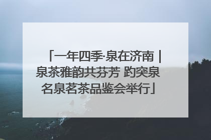 一年四季·泉在济南｜泉茶雅韵共芬芳 趵突泉名泉茗茶品鉴会举行