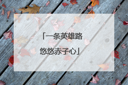 一条英雄路 悠悠赤子心