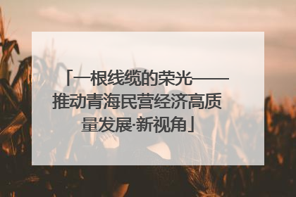 一根线缆的荣光——推动青海民营经济高质量发展·新视角