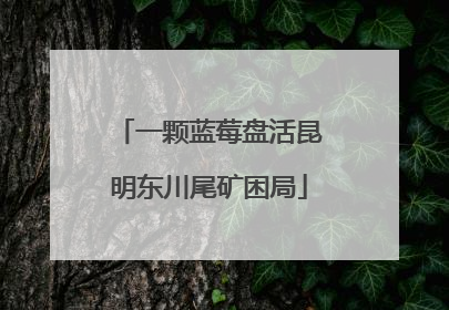 一颗蓝莓盘活昆明东川尾矿困局