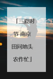 三夏时节 南京田间地头农作忙