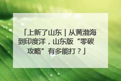 上新了山东｜从黄渤海到印度洋，山东版“零碳攻略”有多能打？