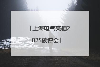 上海电气亮相2025碳博会