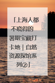 上海人都不晓得的 暑期宝藏打卡地｜自然资源探馆系列②
