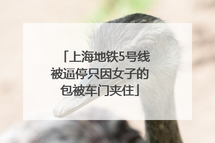上海地铁5号线被逼停只因女子的包被车门夹住