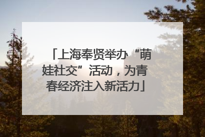 上海奉贤举办“萌娃社交”活动，为青春经济注入新活力