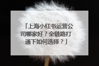 上海小红书运营公司哪家好？全链路打通下如何选择？